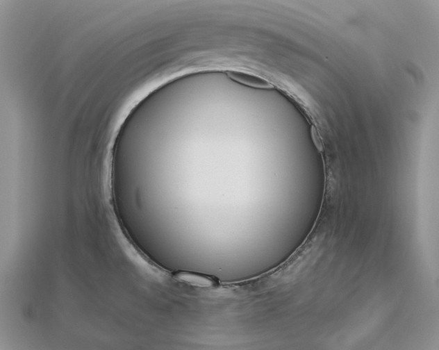 X0000112491528200908311421