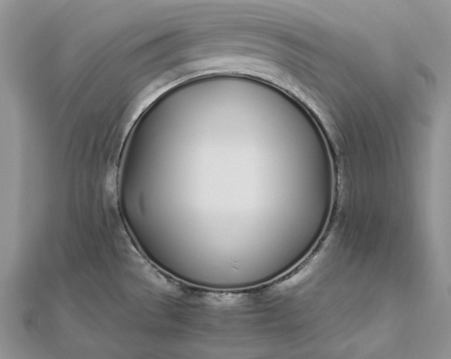 X0000112491529200908311421