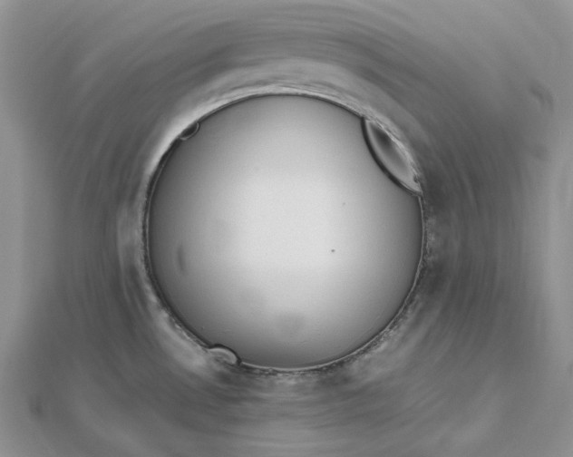 X0000112491530200908311421