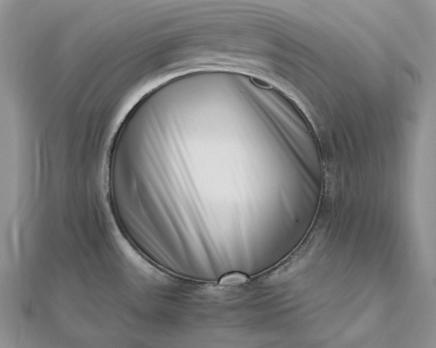 X0000112491531200908311421