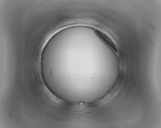 X0000112491532200908311421