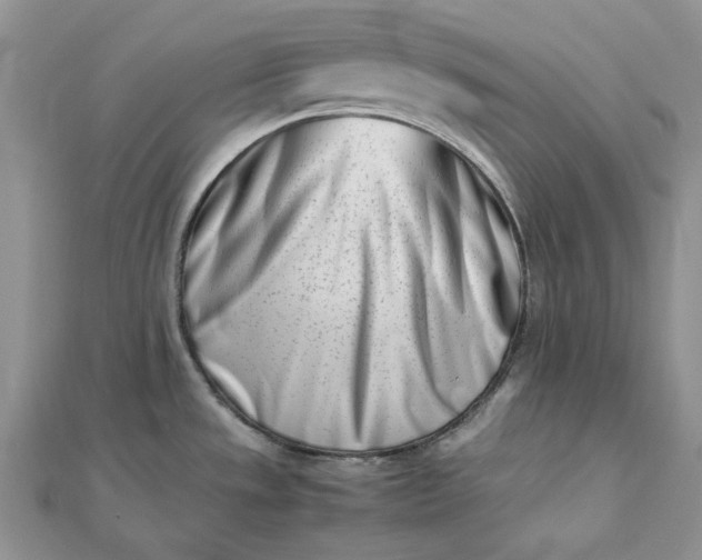 X0000112491533200908311421