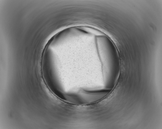 X0000112491534200908311421