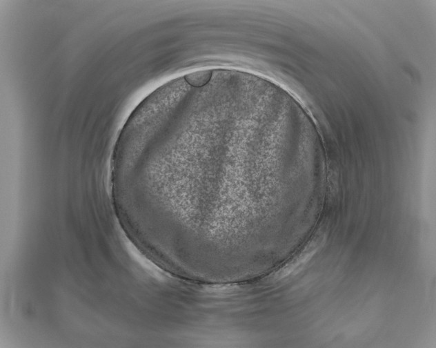 X0000112491535200908311421