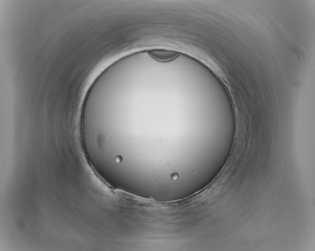 X0000112491536200908311421