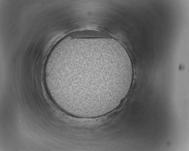 X0000112490001200909071232