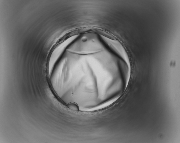 X0000112490002200909071232