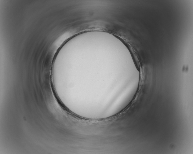 X0000112490003200909071232