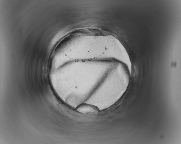 X0000112490004200909071232