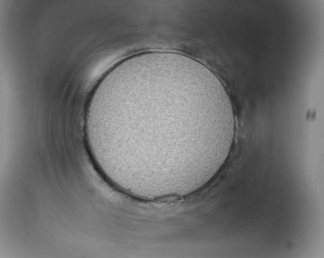 X0000112490005200909071232