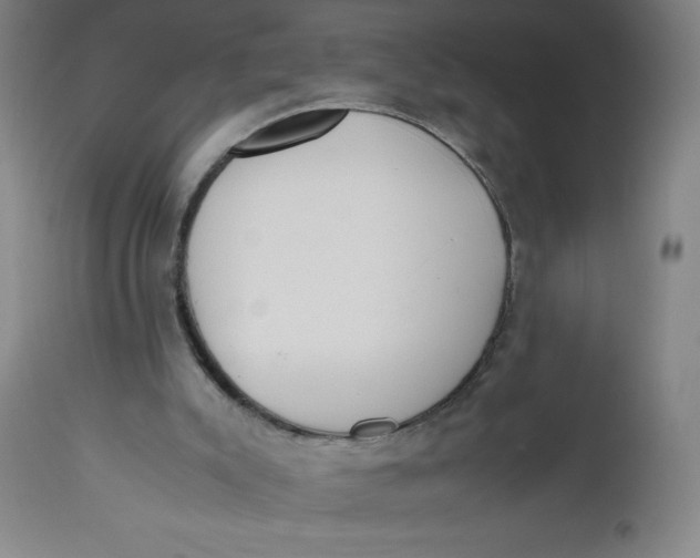 X0000112490007200909071232