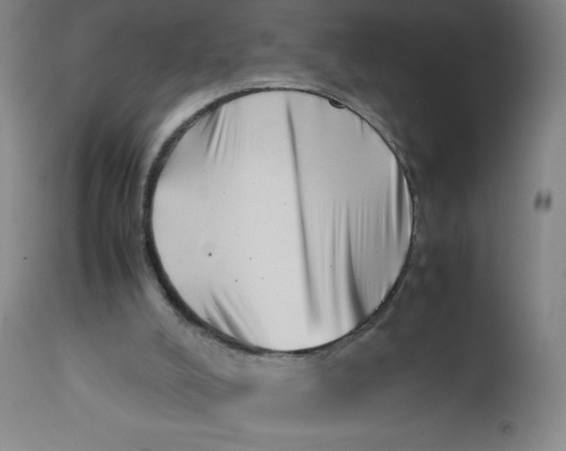 X0000112490008200909071232