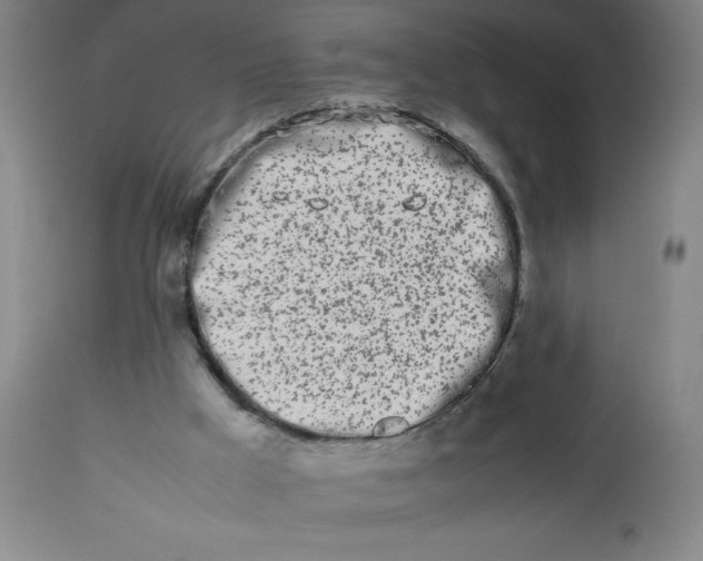 X0000112490009200909071232