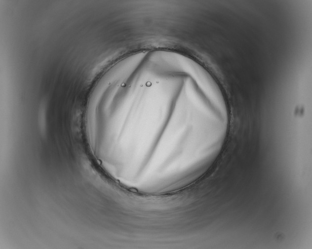 X0000112490010200909071232