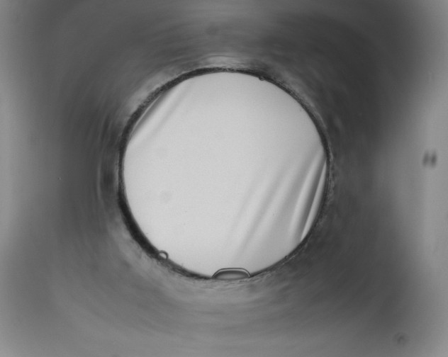 X0000112490011200909071232