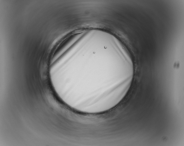 X0000112490012200909071231