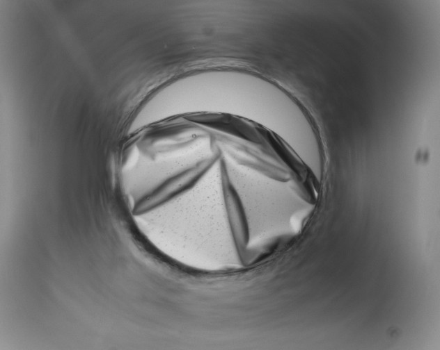 X0000112490013200909071231