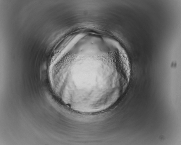 X0000112490014200909071231