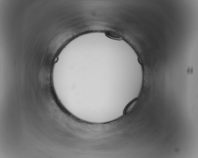X0000112490015200909071231