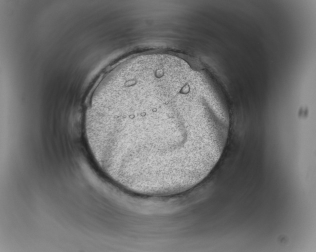 X0000112490016200909071231