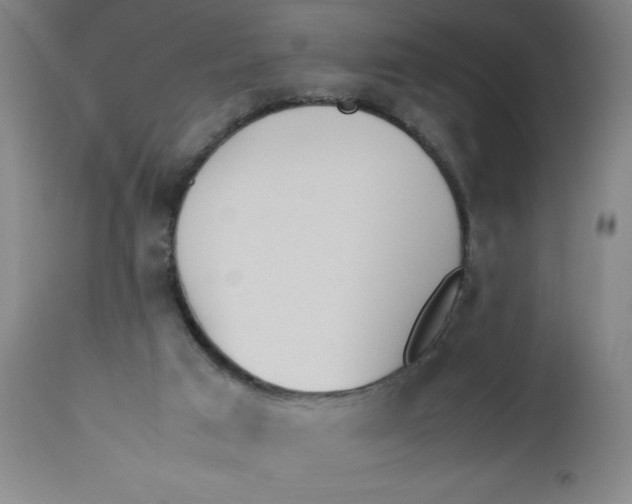 X0000112490017200909071231