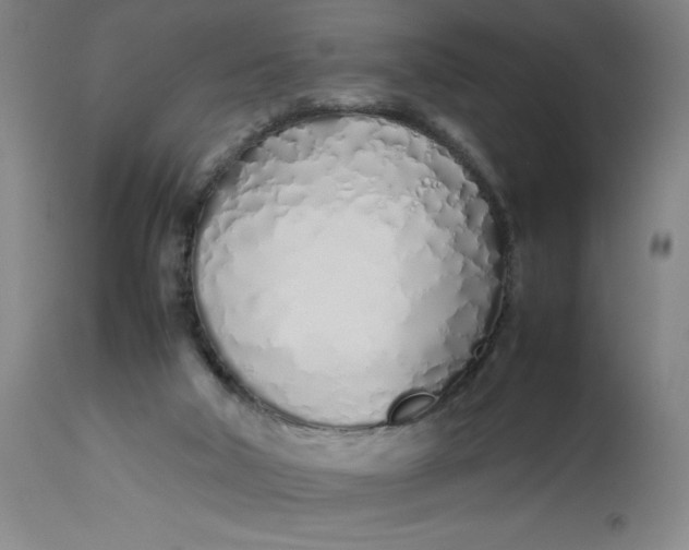 X0000112490018200909071231