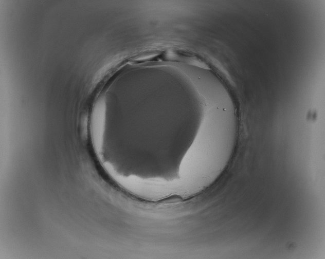 X0000112490019200909071231