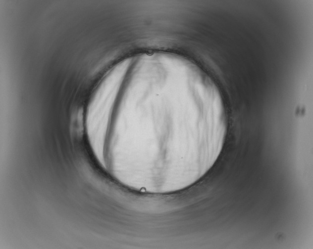 X0000112490020200909071231