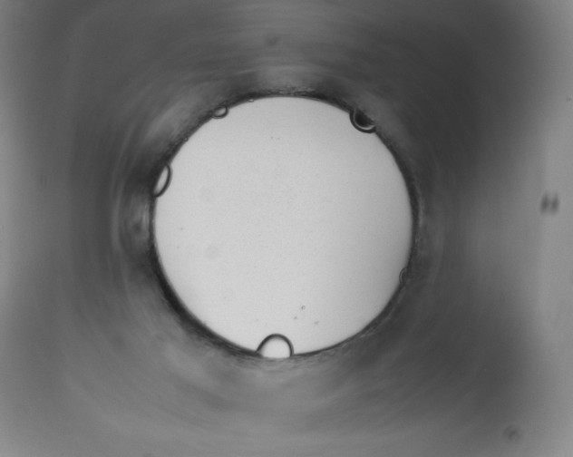X0000112490021200909071231