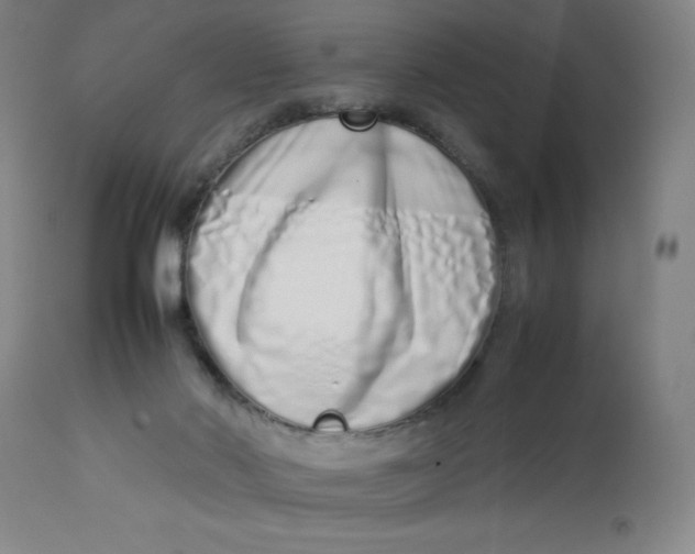 X0000112490022200909071231