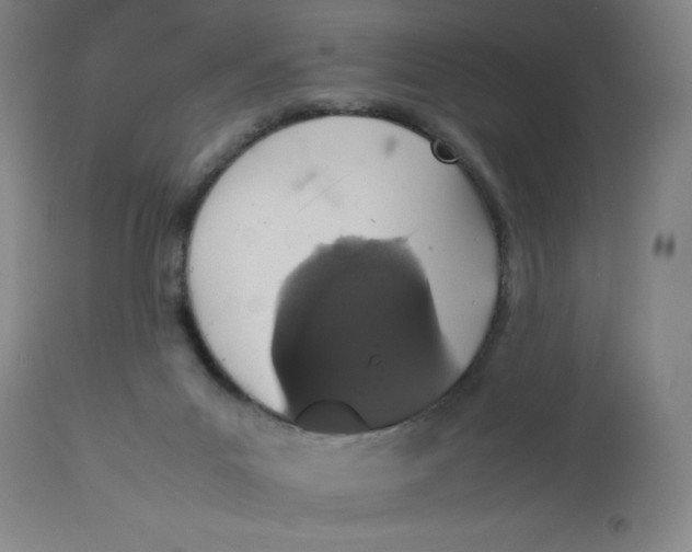 X0000112490023200909071231