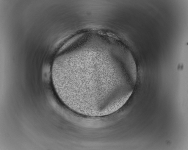 X0000112490024200909071231