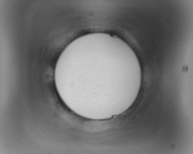 X0000112490025200909071231