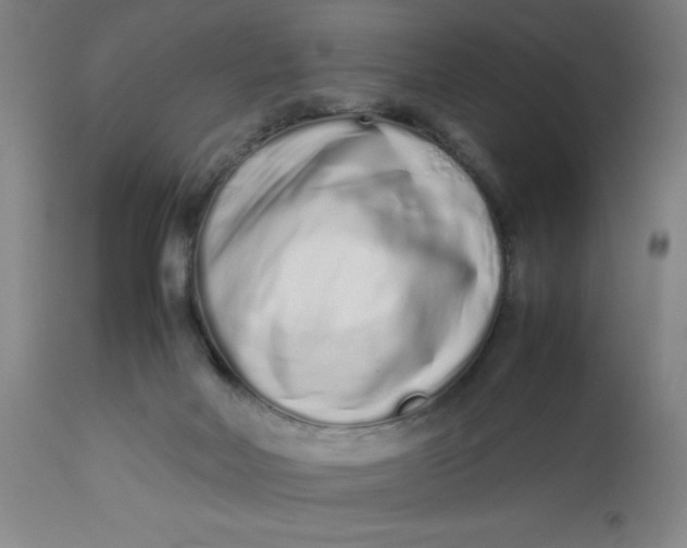 X0000112490026200909071231