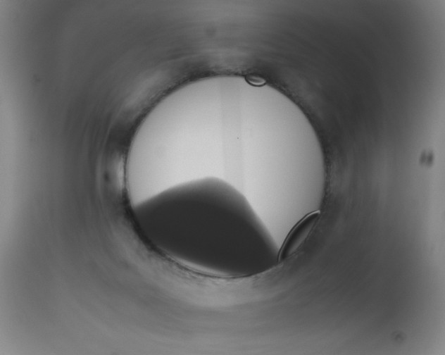 X0000112490027200909071231