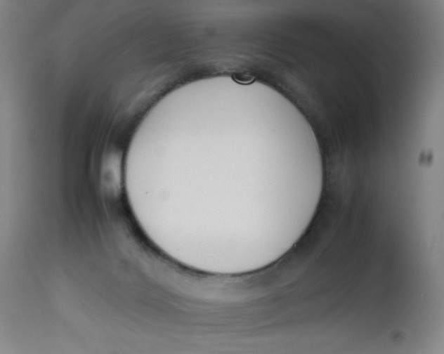 X0000112490028200909071231