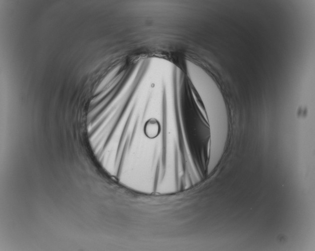 X0000112490029200909071231