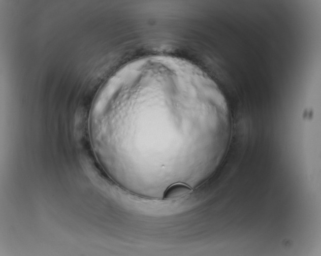 X0000112490030200909071231