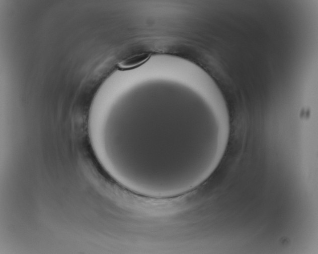 X0000112490031200909071231