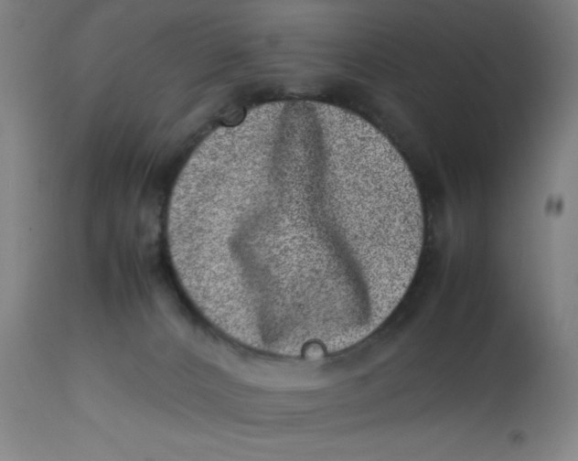 X0000112490032200909071231
