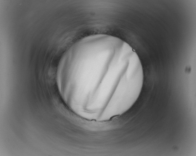 X0000112490034200909071231