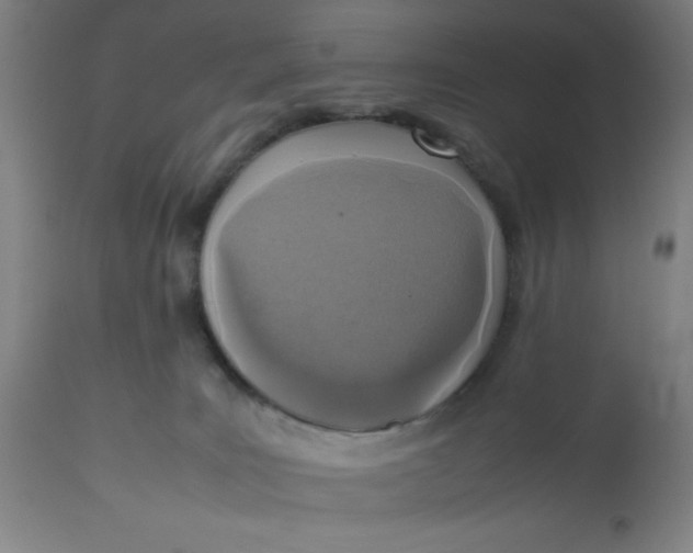 X0000112490035200909071231