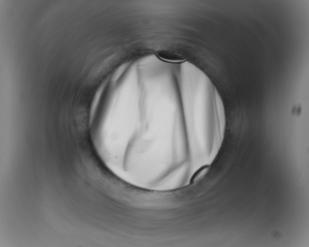 X0000112490036200909071231