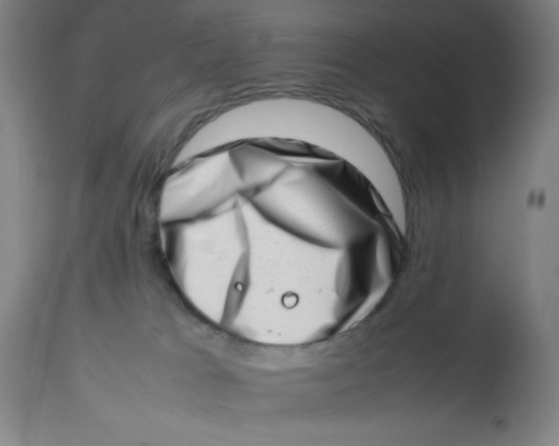 X0000112490037200909071231