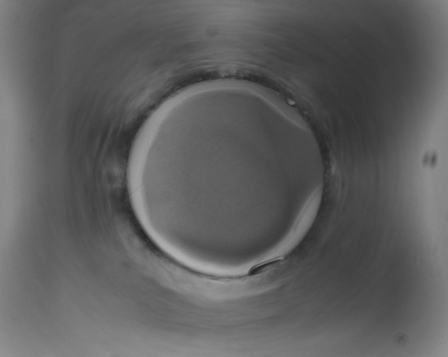X0000112490039200909071231