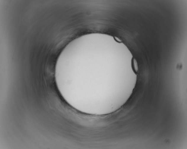 X0000112490040200909071231