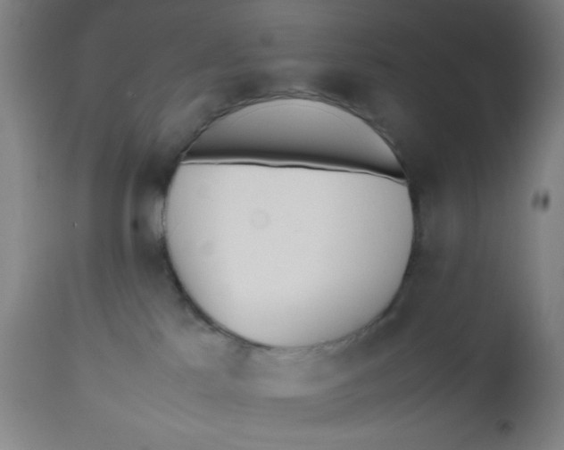 X0000112490041200909071231