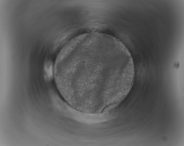 X0000112490042200909071231