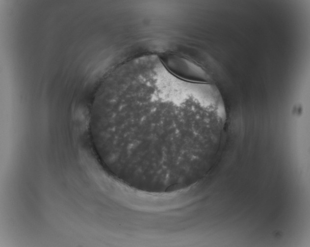 X0000112490043200909071231