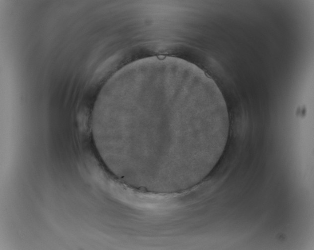 X0000112490044200909071231